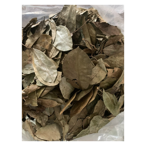 Hojas de Graviola Secas, Ingredientes Naturales de Agricultura Ecológica para Concocciones Herbales Relajantes, Exportadas por Proveedores en Vietnam - Product Image 4