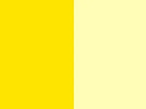 Pigmento Inorgánico Amarillo IGC 12 en Polvo para Recubrimientos y Aplicaciones en Cuero - Product Image 2