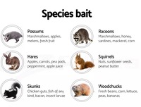 Piège à cage métallique robuste et sans cruauté pour attraper des animaux vivants, pour usage intérieur, pour attraper des lapins, des marmottes, des écureuils, des ratons laveurs, des rats