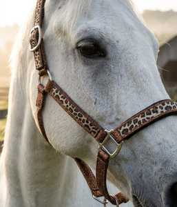 Harnais en nylon pour cheval de haute qualité, durable et tendance, accessoires de bride en cuir de mouton, selle anglaise Rub International - Product Image 6