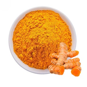 Produit le plus vendu : Poudre de curcuma pure et naturelle, extrait de plantes en poudre, au prix de gros auprès de fournisseurs indiens - Product Image 4