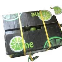2023 Jeruk Nipis Vietnam Tanpa Biji Hijau Segar Buah Citrus Segar Kelas AA Asli Asam Alami 5-8kg Karton Siap Kirim