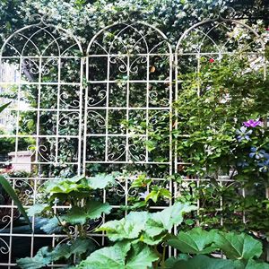 Set di 4 Tralicci da Giardino in Metallo Antiruggine Bianco Crema 220 cm x 50 cm, Supporto per Fiori da Esterno per Piante Rampicanti - Product Image 4