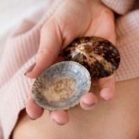 Coquille de limace polie à prix abordable, artisanat de haute qualité, 100% naturel, écologique, livraison rapide, fabriqué au Vietnam, décoratif