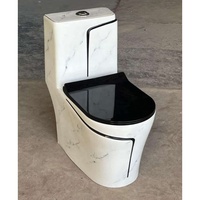 WC monobloc en céramique bleue élégante avec lignes noires - Sanitaires de luxe pour importateurs africains en gros