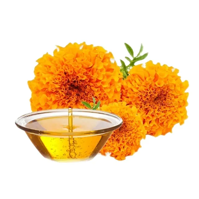 Toplu ihracatçı Marigold yağı toptan fiyat Premium kalite üst sınıf sıcak satış lider üreticisi ve küresel ihracatçı