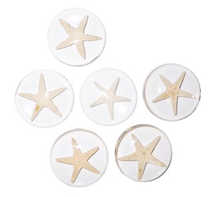 Starfish Real Specimen Plastic Cabochon Round 38x38 mm Clear Flat Bottom for Crafts and Jewelry Making - Product Image 3