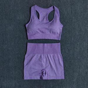 Vêtements de sport pour femmes, ensemble de yoga à séchage rapide, tenue de sport pour la gym, tenue de course, vêtements de sport actifs - Product Image 4