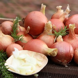 Oignons Rouges Frais de Ferme Qualité Exportation Naturels Emballage en Vrac Fournisseur Direct Meilleur Prix Disponible Remisé - Product Image 1