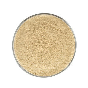 Poudre d'extrait de champignon Crinière de lion 100 % naturelle, fraîchement sélectionnée, de qualité alimentaire, à base de plantes, favorisant le bien-être général - Product Image 1