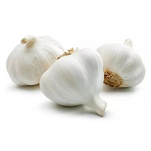 Ail frais pelé de qualité supérieure en gros à prix avantageux - Product Image 2