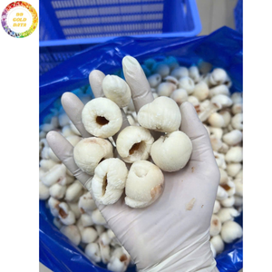 Litchis surgelés IQF de qualité export premium, sans sucre ajouté, fruits tropicaux, emballés sous vide, vente en gros en vrac, approvisionnement direct usine - Product Image 3