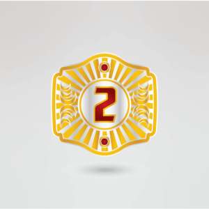 Ceinture de championnat KTW Tag Team, plaques métalliques dorées sur quatre côtés, détails complexes, sangle blanche, équipement de lutte personnalisé - Product Image 5