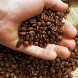 Café moulu torréfié Arabica de spécialité du Vietnam, haute qualité, certifié USDA ISO 22000, grade G1/G2, noir brisé 0,1%, export en vrac - Product Image 3