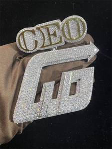 Colgante de Lujo con Logotipo de Letra y Nombre, Chapado en Oro de 18K, Plata de Ley 925, con Moissanita VVS, Estilo Hip Hop Iced Out y Engaste de Garra - Product Image 2