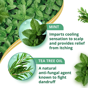 Champú refrescante de menta a base de hierbas enriquecido con aceite de árbol de té, formulado para combatir la caspa, calmar el cuero cabelludo y revitalizar el cabello, apto para hombres. - Product Image 6
