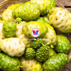 Fruits de Noni Congelés Naturels Qualité Premium Export Vietnam - Product Image 2