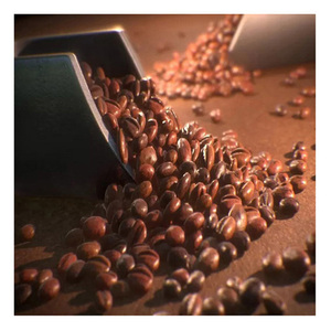 Grains de café Grains de café d'exportation Grains de café vert Arabica de haute qualité - Product Image 4
