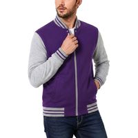 Veste universitaire pour homme, couleur gris et violet, coupe classique, fermeture éclair sur le devant, style décontracté, col rabattu, matière polaire, vêtement d'automne