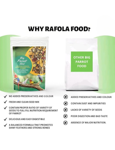 Nourriture pour oiseaux biologique de qualité supérieure, perroquets, oiseaux de grande taille, mélange de graines multigrains naturel, riche en protéines, soutien immunitaire, alimentation nutritive et saine - Product Image 5
