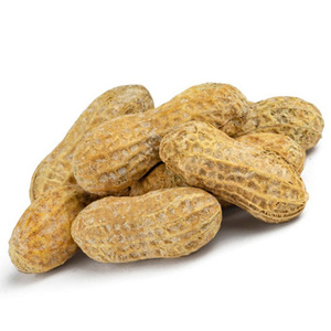 Cacahuetes Rojos Orgánicos Secos de Alta Calidad Disponibles para la Venta a Bajo Precio - Product Image 4