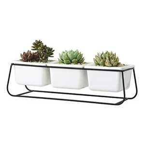 Geometric Minimalist Square Iron Wire Cube <b>Plant</b> Stand Matte Black Open <b>Frame</b> Pedestal Concrete Cement Succulent Pot Base - Product Image 2