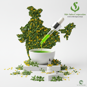 Suministro Profesional de Aceite de Mirto para Compradores Globales en la Fabricación de Fragancias y Productos para el Hogar - Product Image 1