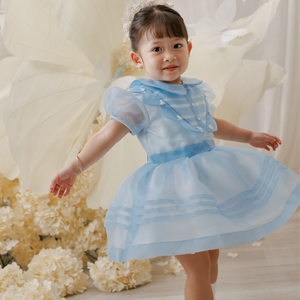 Vestido de organza multicolor, vestido de niña de ocasión para niños, cuello redondo, estilo princesa, rebordear a mano, OEM, ODM, OBM-Rosella - Product Image 4