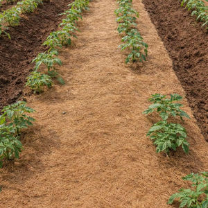 Tapete Biodegradable Ecológico de Fibra de Coco para Jardinería y Plantación, Listo para Usar en Macetas - Product Image 1