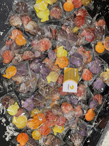 Conjunto de Conchas Marinas Rústicas Hechas a Mano Coastal Harmony para Decoración de Bodas y Adorno para el Hogar Inspirado en el Océano - Caryln - Product Image 2