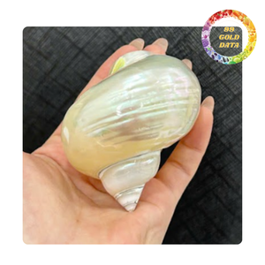 Vente en gros d'usine : Coquille de nacre naturelle polie avec éclat irisé turquoise pour la décoration artisanale - Product Image 6