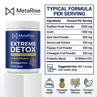 Bubuk Instan Vegan Rasa Nanas untuk Detoks Alami & Kesehatan Pencernaan, 10g Per Sajian, Botol 400g untuk Dewasa