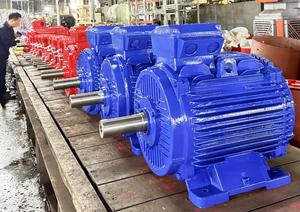 Motor trifásico asíncrono de estructura industrial, 380V, hierro fundido, 208–230/240 V, 10 kw, a prueba de goteo/IP55, 12 meses - Product Image 5