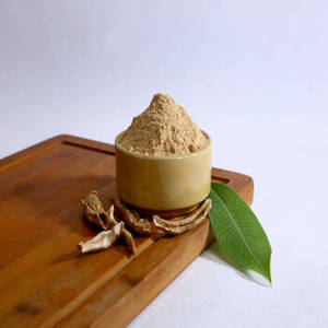 Nouvelle Saison Poudre de Moutarde Indienne Gujarat FitTree International Distributeurs Alimentaires Professionnels Épiceries Fabricants - Product Image 5