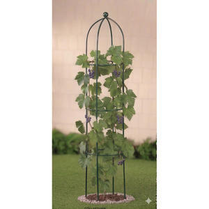 Enrejado de hierro para plantas de jardín, 6 pies de altura, diseño redondo moderno para valla de patio - Product Image 2