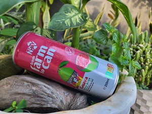 Proveedor Mayorista Precio Económico Alta Calidad Bebida de Jugo de PIÑA en Lata de Aluminio de 250 ml de una Empresa de Bebidas de Vietnam - Product Image 5