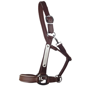 Best Quality Indian Leather <b>Equipment</b> Anatomic Horse Halter Silver Fittings With Engraved Horse Nameplate for Horse Riding - Product Image 1