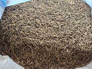 Clavos Aromáticos Secos de Alta Concentración de Aceite de Indonesia, MOQ 10 MT, Marca Global Agro Komoditi, Envío a Todo el Mundo, B2B - Product Image 3