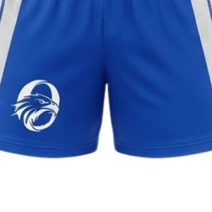 Men Royal Blue White Sublimated Netball Jersey Shorts Set Polyester Lightweight <b>Athletic</b> Team Uniform Performance Apparel - Product Image 6