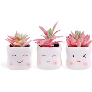 Lindas Suculentas Artificiales Pequeñas en Maceta de Cerámica Rosa, Arreglo para Decoración del Hogar u Oficina, Mini Plantas Falsas - Product Image 1