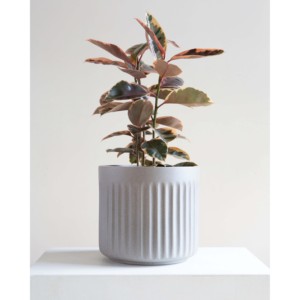 Mini pot de fleurs en liège durable pour une utilisation décorative - Product Image 5