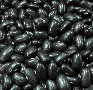 Precio de Fábrica, Alta Calidad, Fabricante Austriaco, Nuevo Producto, Frijol Negro Orgánico - Frijol Rojo para Exportación, Frijol Rojo Barato - Product Image 2