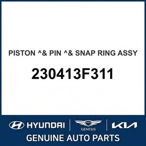Nouveaux pistons et segments Borrego 230413F311 - Product Image 1