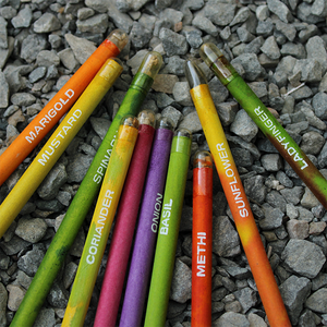 plantable <b>seed</b> pencil set | plantable pencils 12pc | recycled <b>paper</b> pencil set | eco friendly pencil set | plantable stationery - Product Image 6