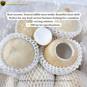 ถ้วยขนมเปลือกมะพร้าวธรรมชาติแบบแช่แข็ง IQF - Product Image 3