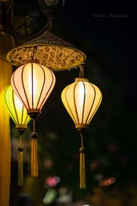 Silk Lanterns Vietnamese Bamboo Silk Lanterns Decorative Lights For Home Garden Wedding Vietnam Silk Lanterns - Product Image 2