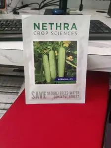 Semillas de Pepino de Primera Calidad para Agricultura, Alto Rendimiento, Resistentes a Enfermedades, Calidad de Exportación, Marca CRADLE LIFE, 12 Meses - Product Image 4