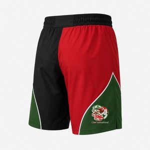Professional MMA Fight Shorts Wholesale Plain Stretch Polyester Spandex Athletic Shorts Breathable Comfortable MMA Shorts - Product Image 2