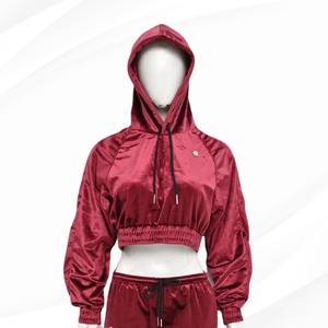 Wholesale High Quality Fashion <b>Velvet</b> Suit for Women Crop Hoodies Jogger Set <b>Velvet</b> <b>Tracksuit</b> Soft Custom <b>Velvet</b> Set - Product Image 5