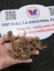 Mousse d'algues irlandaise du Vietnam de haute qualité en vrac pour compléments alimentaires, exportation vers les marchés américain et européen - Product Image 6